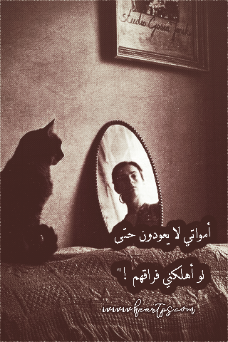 ���� ���� ������ �� ���� ������