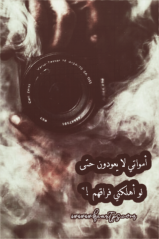 ���� ���� ������ �� ���� ������