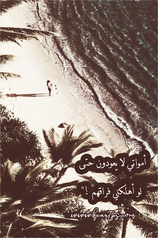 ���� ���� ������ �� ���� ������