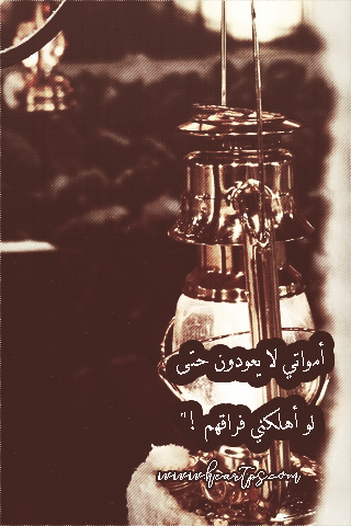 ���� ���� ������ �� ���� ������