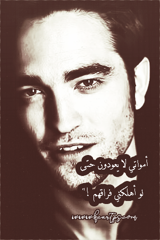 ���� ���� ������ �� ���� ������