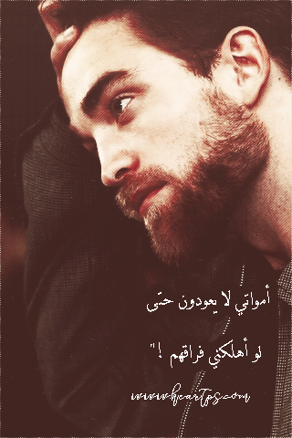 ���� ���� ������ �� ���� ������