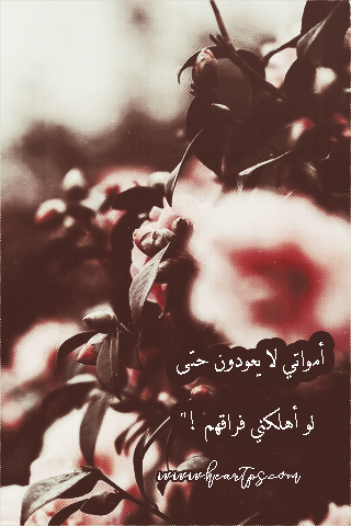 ���� ���� ������ �� ���� ������