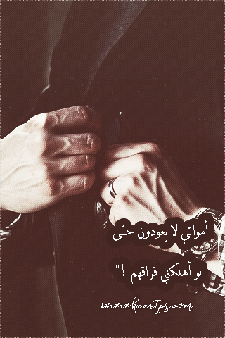 ���� ���� ������ �� ���� ������