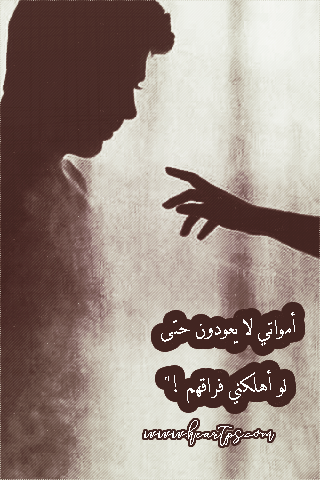 ���� ���� ������ �� ���� ������