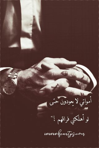 ���� ���� ������ �� ���� ������