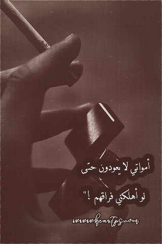 ���� ���� ������ �� ���� ������