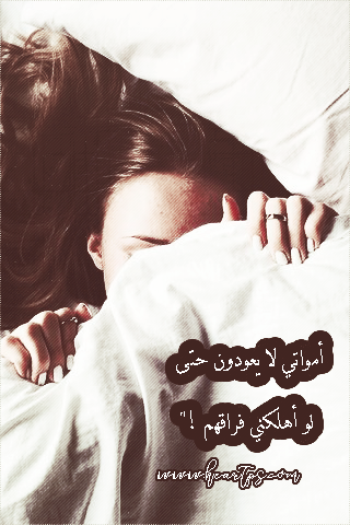 ���� ���� ������ �� ���� ������