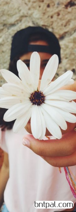 ♡ bntpal.com_153690784