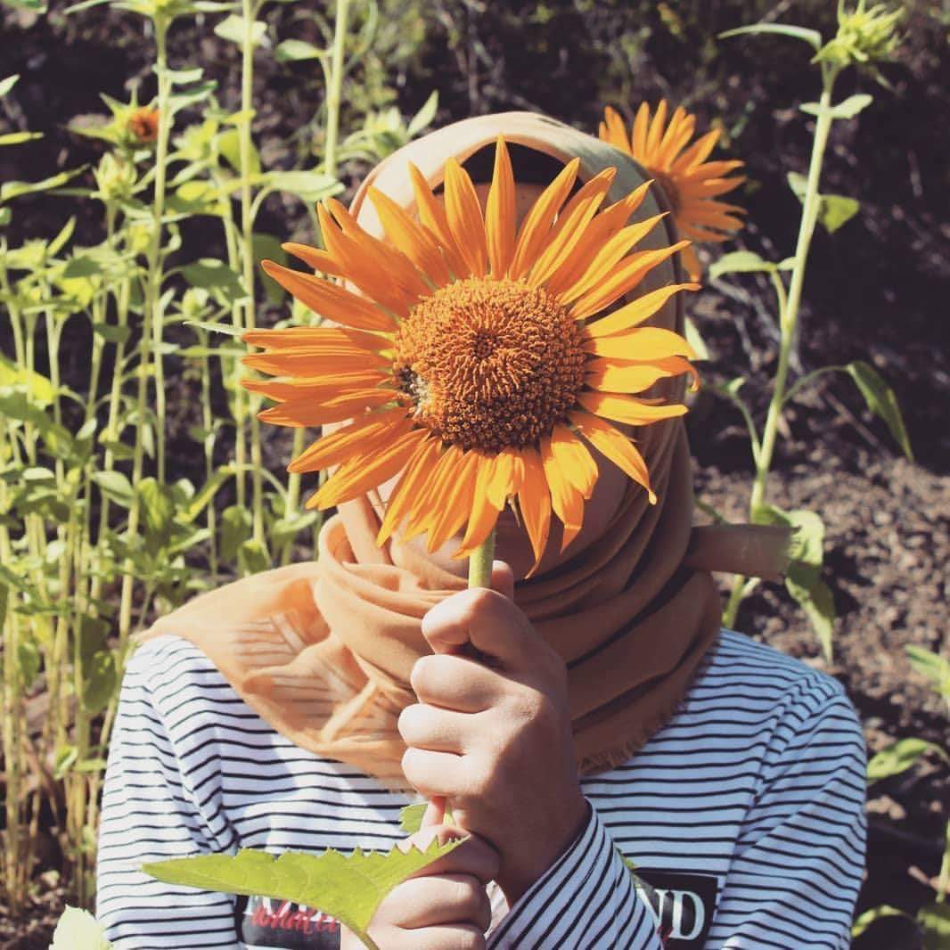 🦋 bntpal.com_153695015