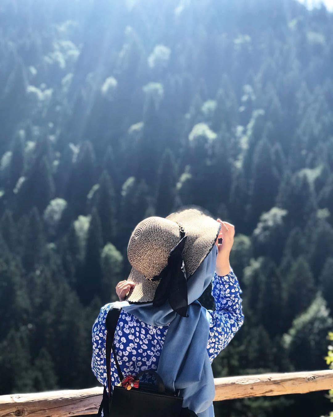 🦋 bntpal.com_153695015