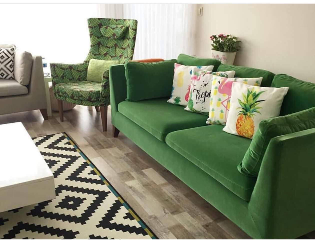  💚🍃' bntpal.com_153699526