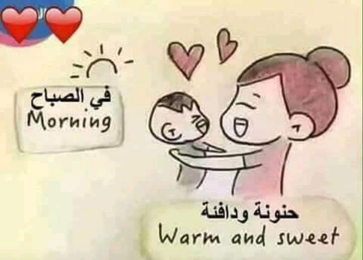 .. bntpal.com_153742396