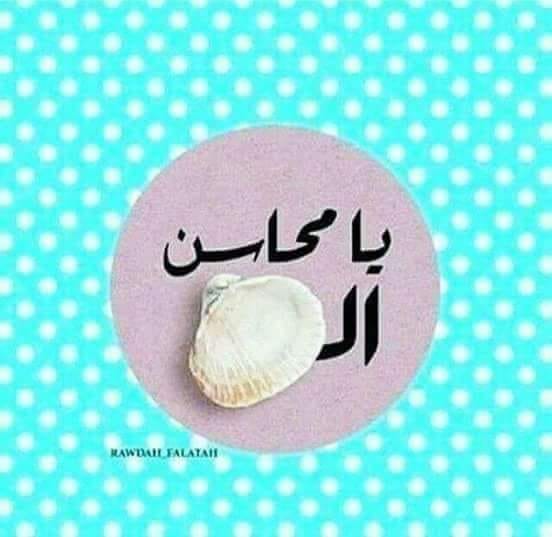 ~~ bntpal.com_153754175