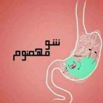 ~~ bntpal.com_153754230