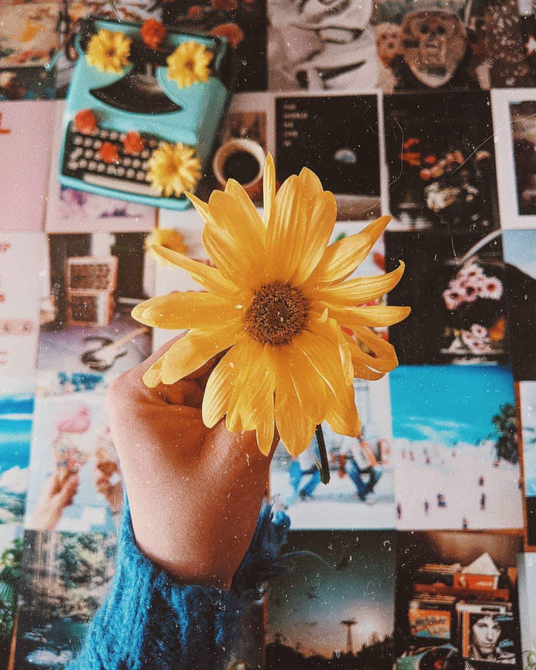 ⚘ bntpal.com_153821272