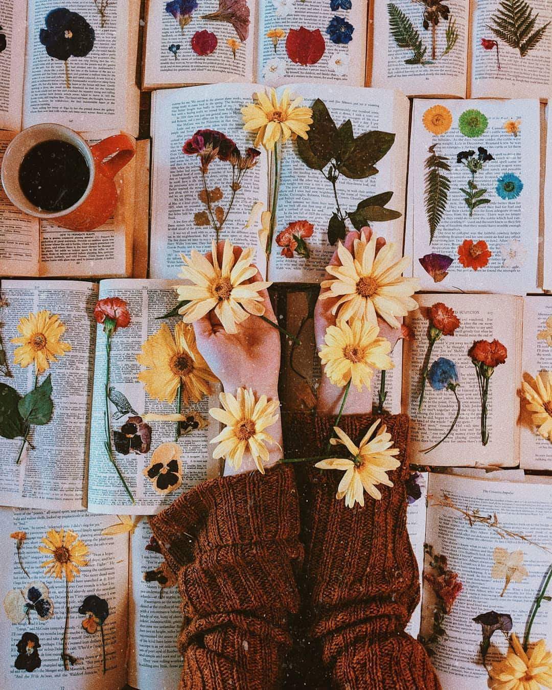 ⚘ bntpal.com_153821272