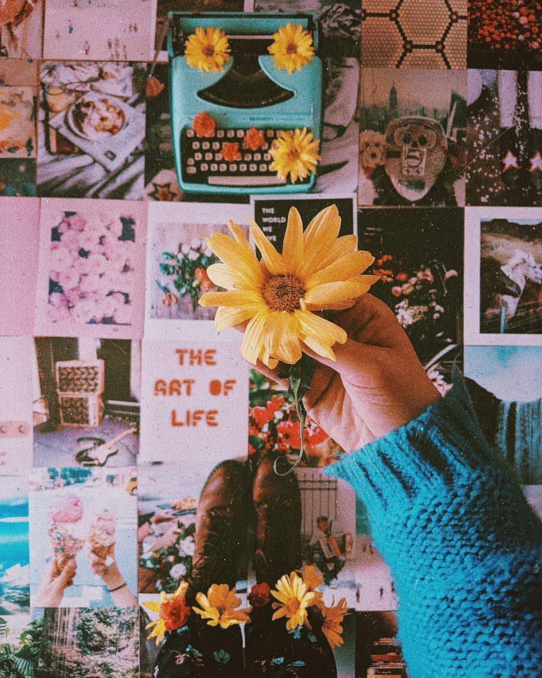 ⚘ bntpal.com_153821272