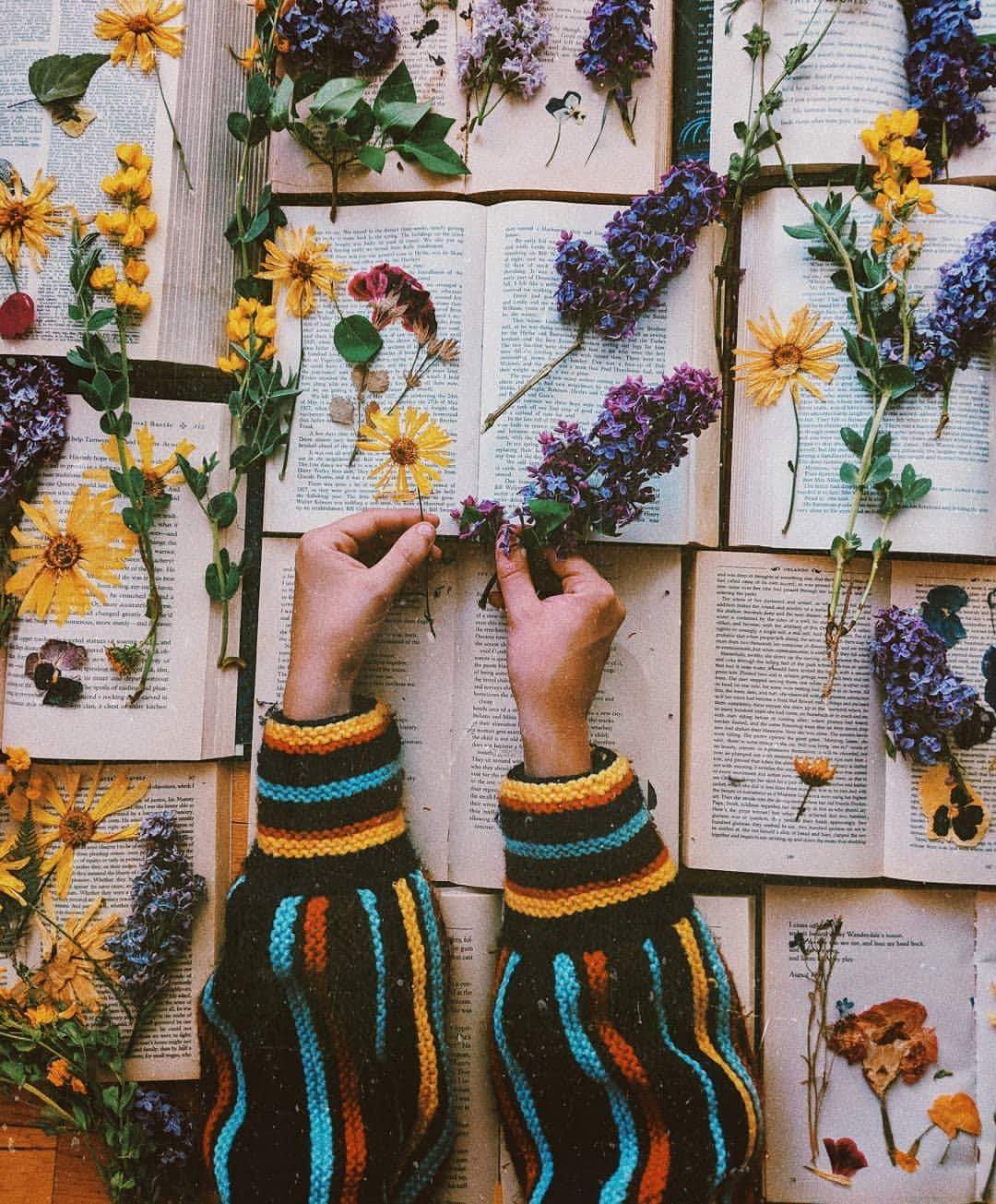 ⚘ bntpal.com_153821272