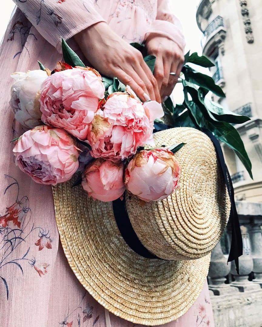 ⚘ bntpal.com_153821272