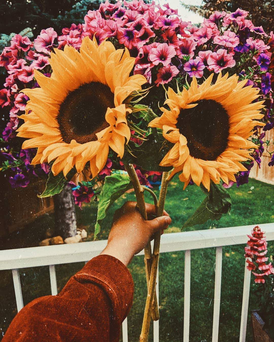 ⚘ bntpal.com_153821272