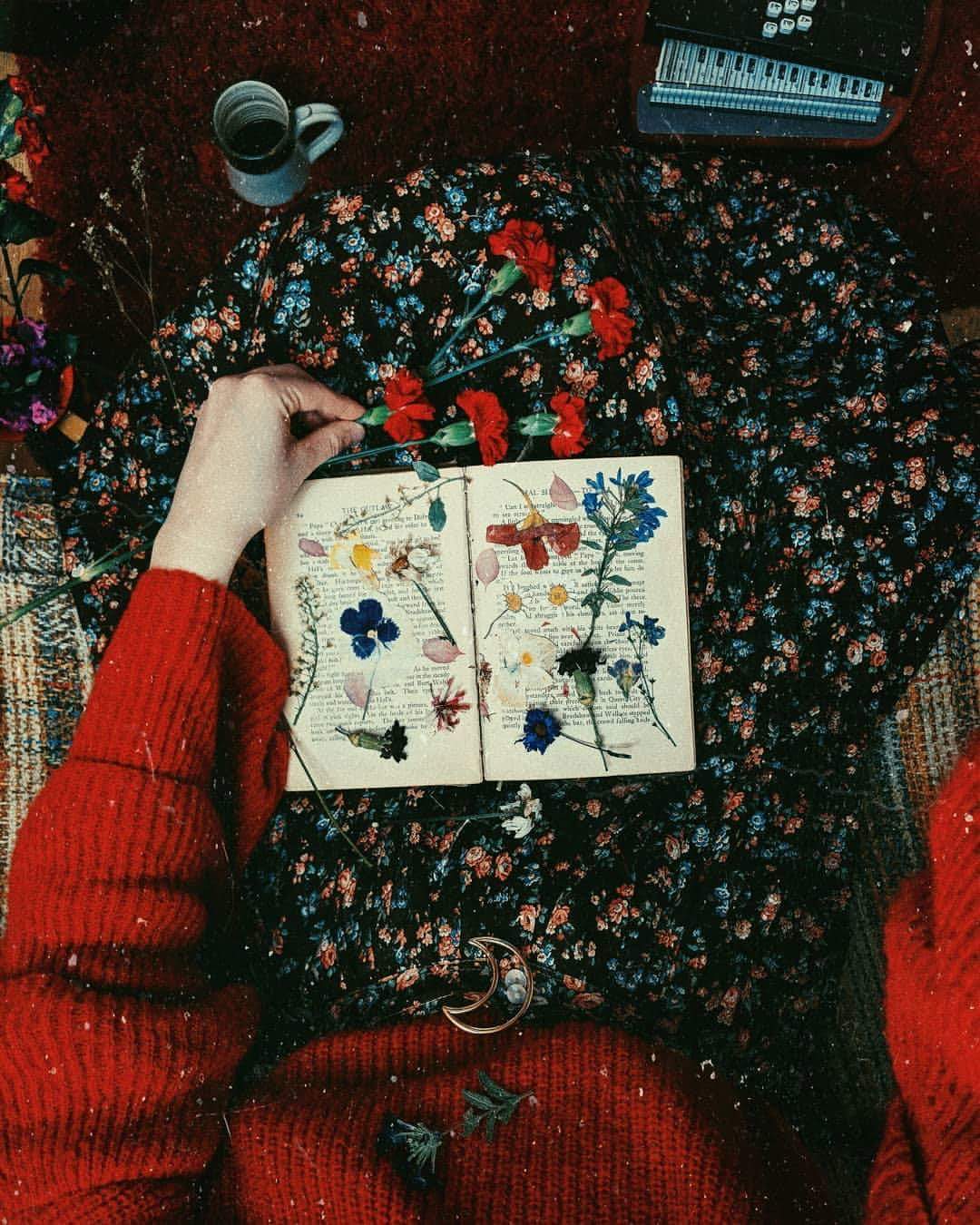 ⚘ bntpal.com_153821314