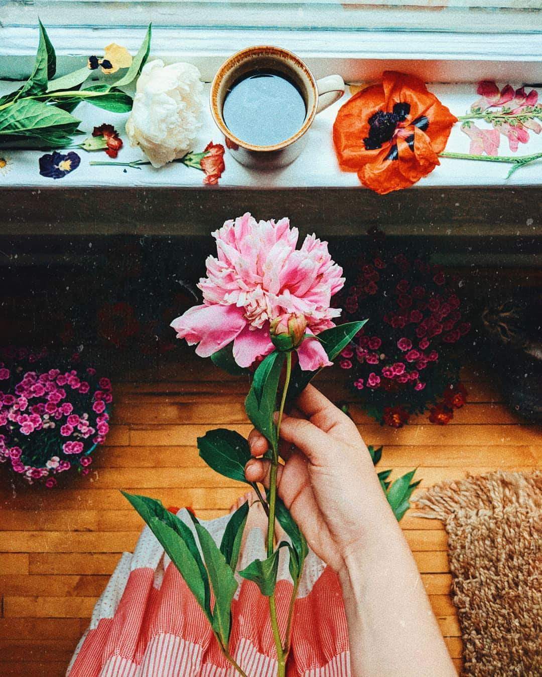 ⚘ bntpal.com_153821314
