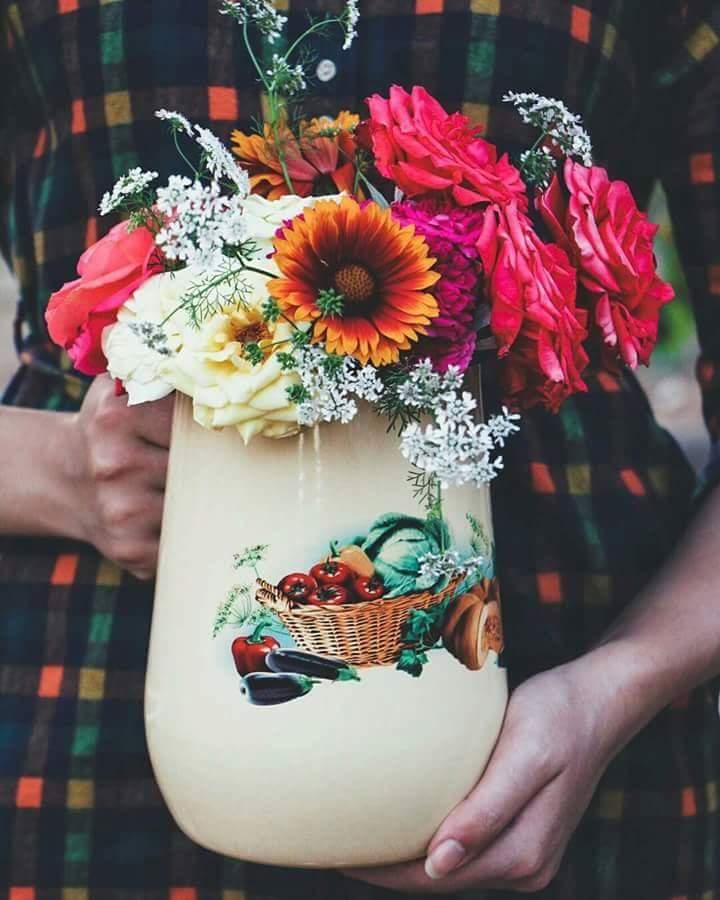 ⚘ bntpal.com_153821314