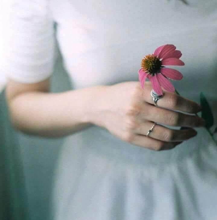 ⚘ bntpal.com_153821314