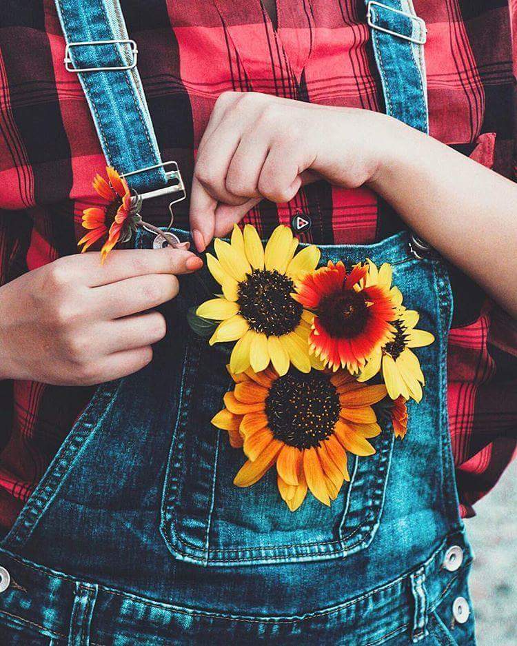 ⚘ bntpal.com_153821314