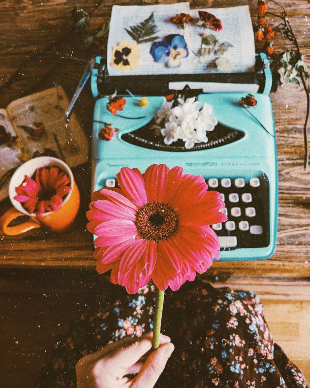 ⚘ bntpal.com_153821314
