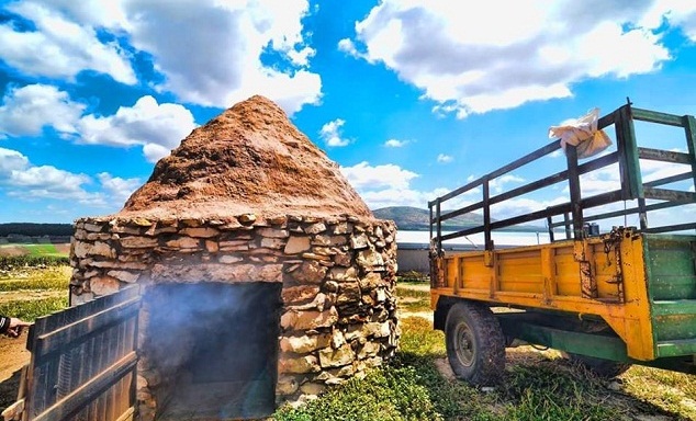 bntpal.com_153829879
