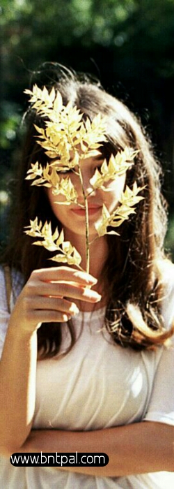 " .. 💛". bntpal.com_153834069