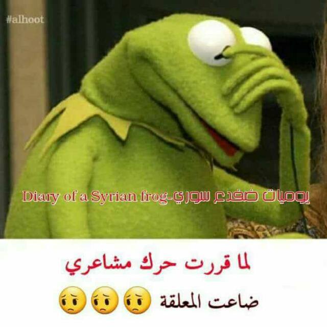 ~~ bntpal.com_153845558