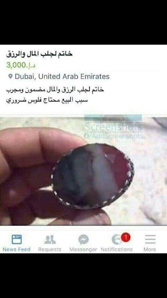 ~~ bntpal.com_153845673