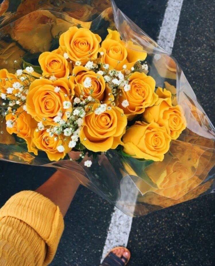 💛🌼' bntpal.com_153865409