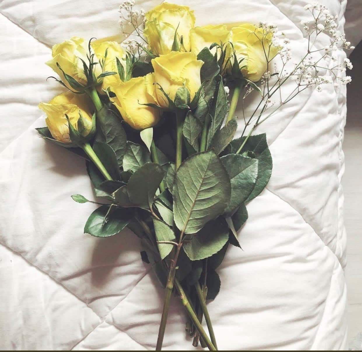 💛🌼' bntpal.com_153865409
