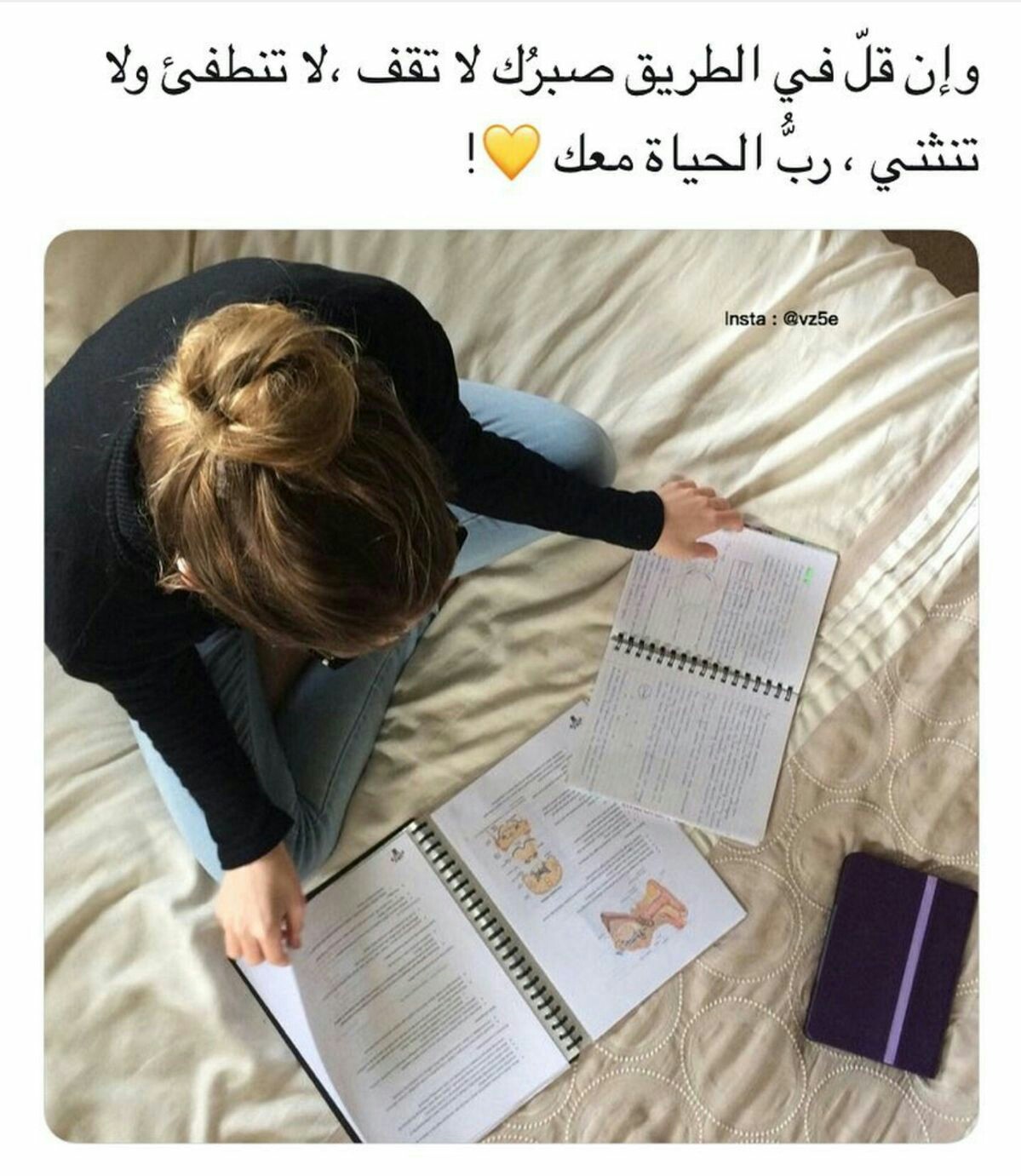 💁💕| bntpal.com_153909248