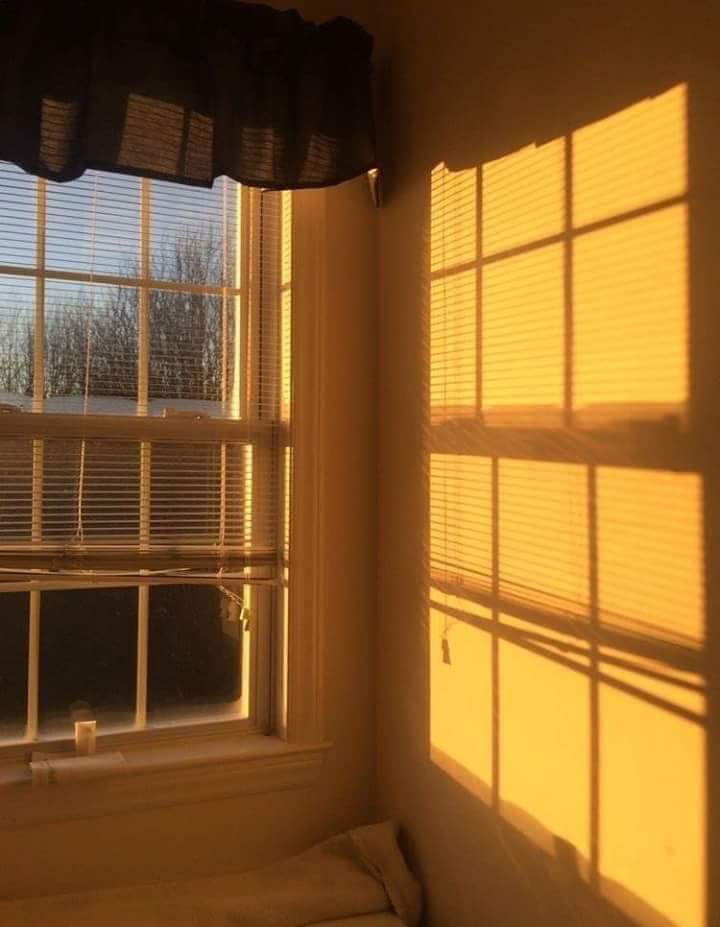 💛 bntpal.com_153953910