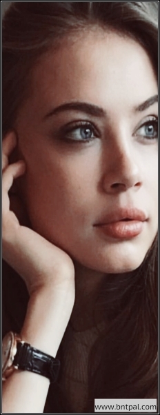  bntpal.com_153962090