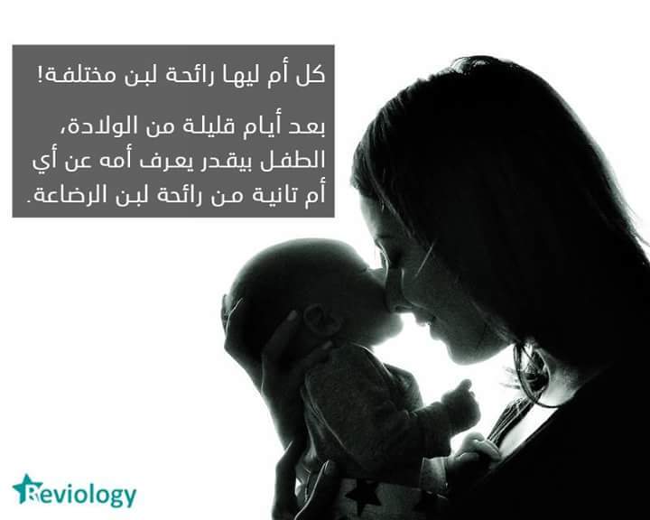 bntpal.com_153974966