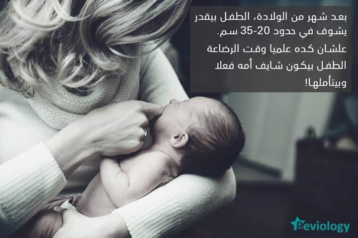 bntpal.com_153974984
