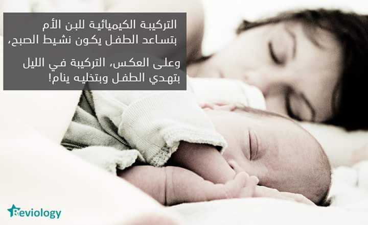 bntpal.com_153974991