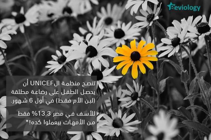 bntpal.com_153974997