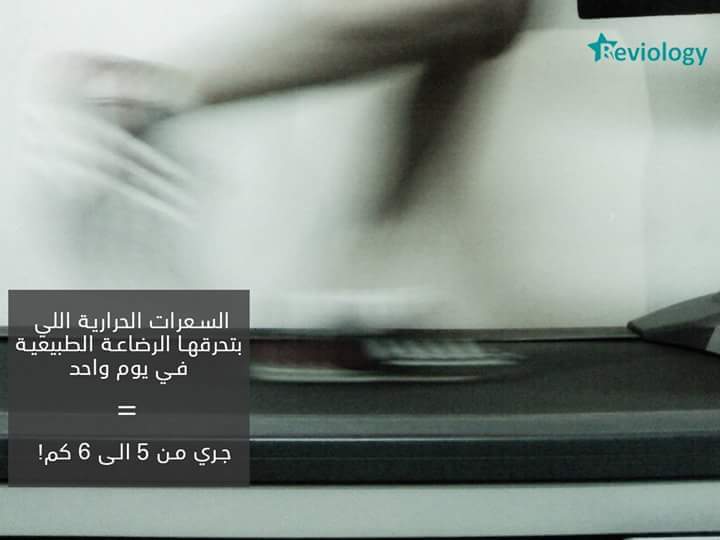 bntpal.com_153975004