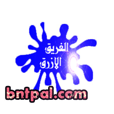 bntpal.com_154010558