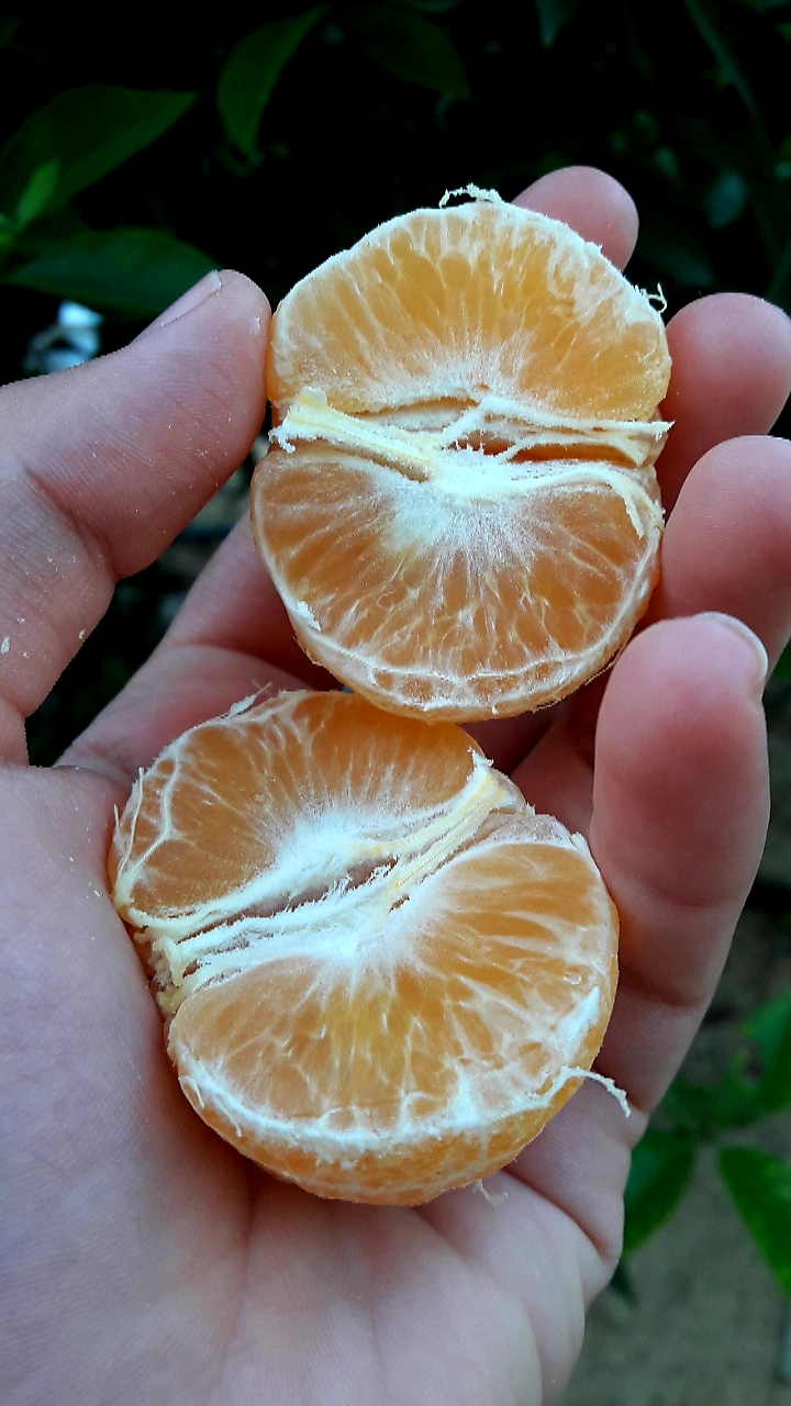 😍 bntpal.com_154030841