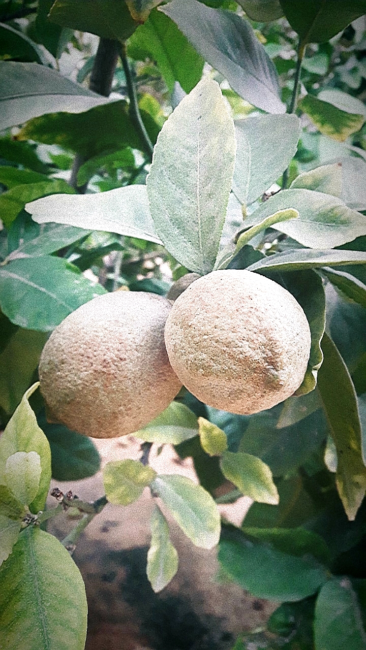 😍 bntpal.com_154030841