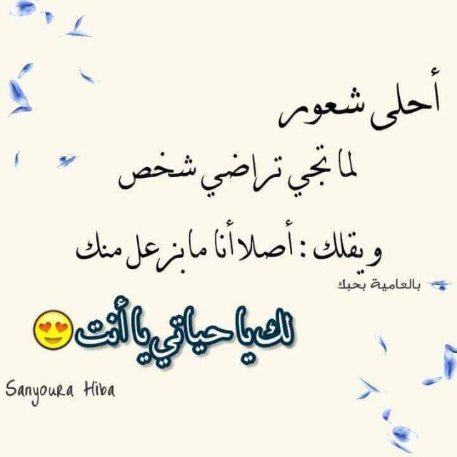      bntpal.com_154063403