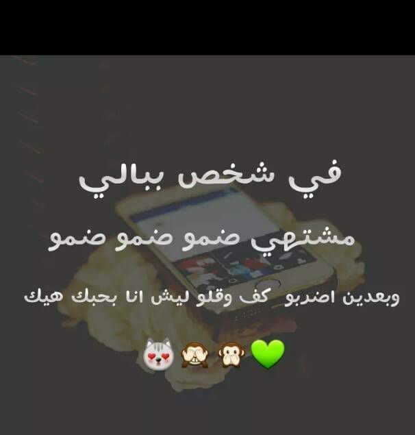      bntpal.com_154063950